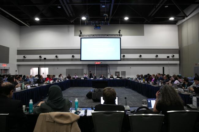 Delegates gather for discussions under Subgroup 1.1