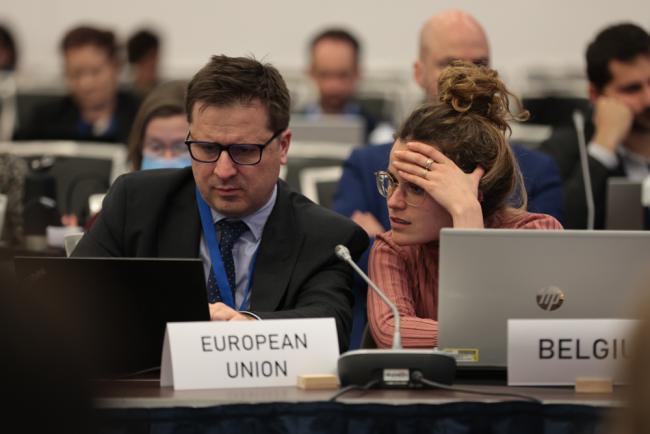 Delegates from the EU consult