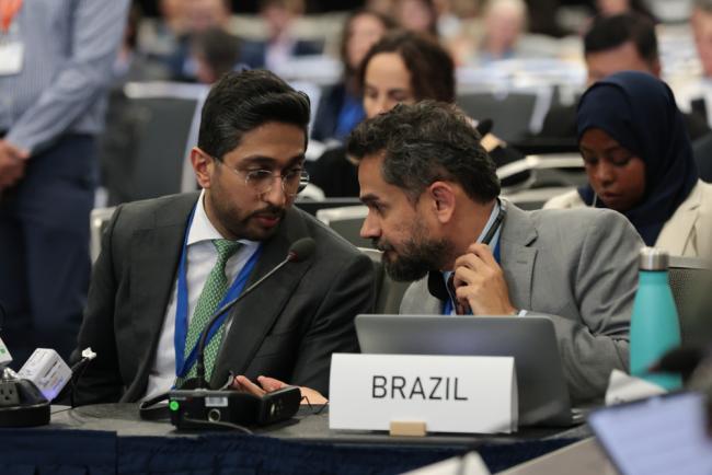 Delegates from Saudi Arabia and Brazil consult
