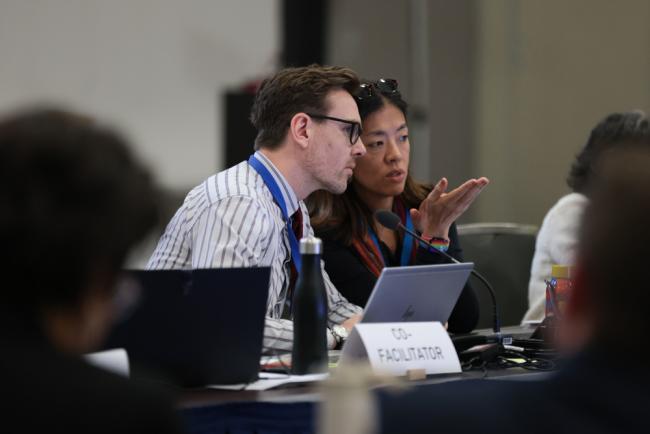 Subgroup 1.2 Co-Facilitators Erlend Draget, Norway, and Maria Angélica Ikeda, Brazil