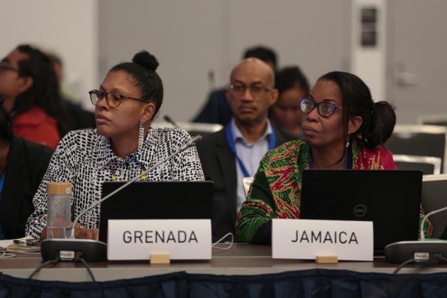 Delegates follow the deliberations