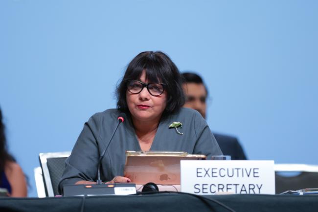 Jyoti Mathur-Filipp, Executive Secretary, INC Secretariat