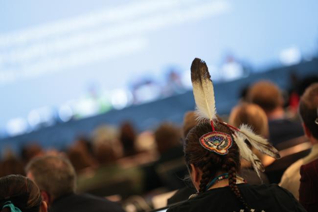 Feather in plenary