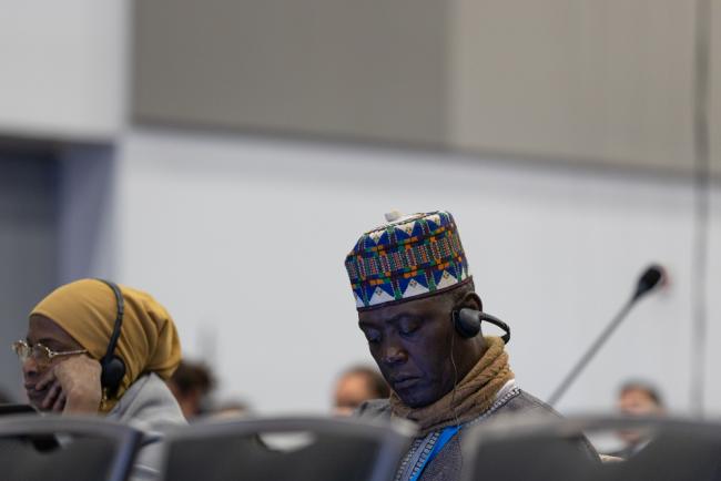 Delegate in plenary