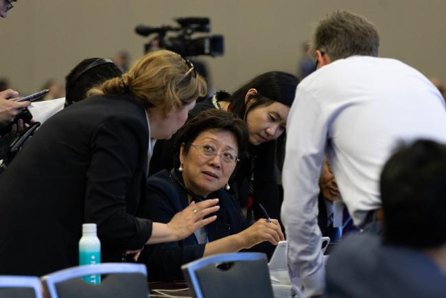 Delegates from the Russian Federation, China, and the US
