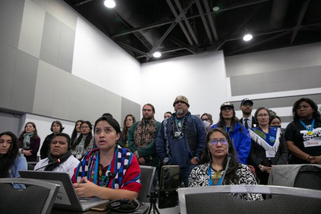 Nancy González Cortez, Indigenous Caucus