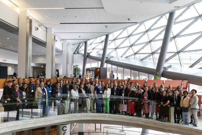 Delegates from AOSIS