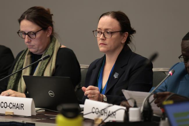 Contact Group 2 Co-Chair Katherine Lynch, Australia