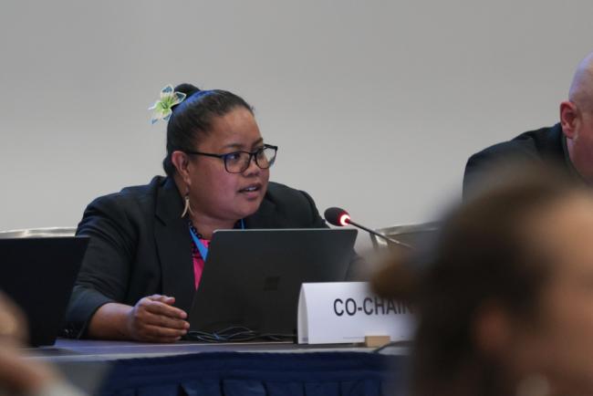 Contact Group 1 Co-Chair Gwendalyn Kingtaro Sisior, Palau 