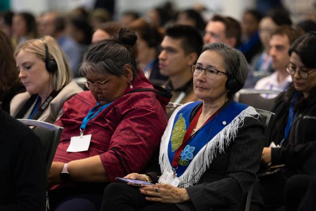 Delegates listen to the interventions