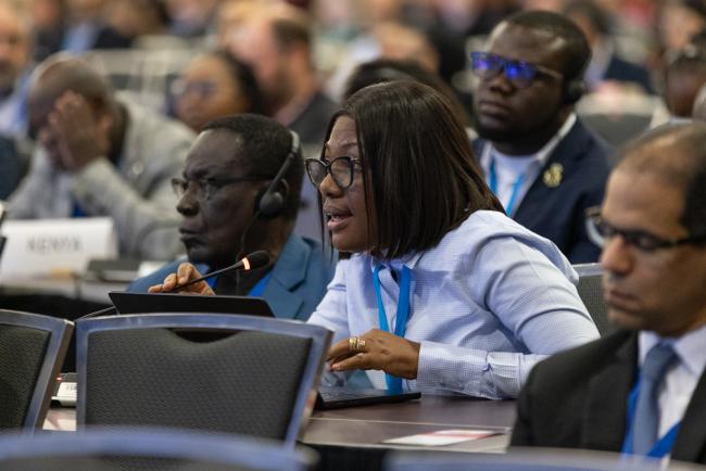 Ophelia Mensah Hayford, Ghana, on behalf of the African Group