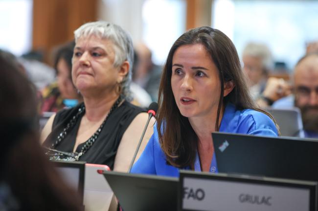 Mariana Marshall Parra, GRULAC 