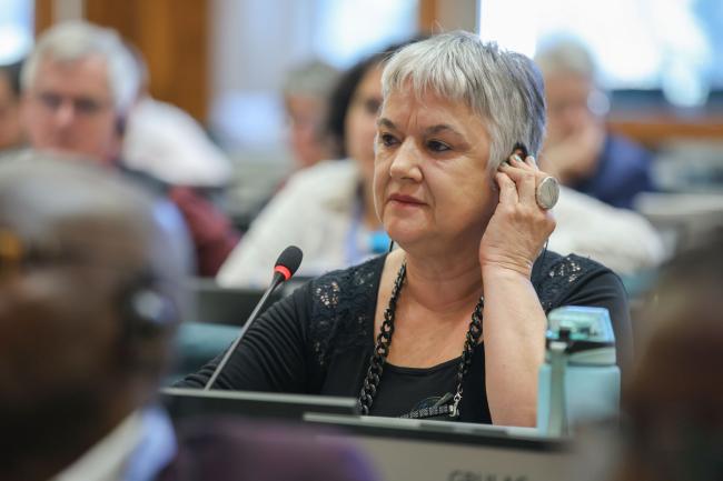Teresa Agüero Teare, GRULAC