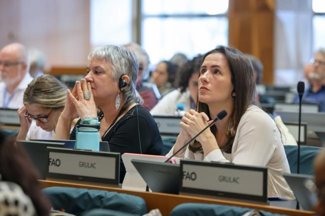 Teresa Agüero Teare and Mariana Marshall Parra, GRULAC 