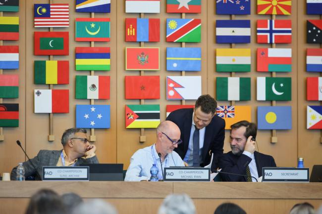  From L-R: Working Group Co-Chairs Sunil Archak and Michael Ryan consulting with Tobias Kiene and Álvaro Toledo, ITPGRFA Secretariat