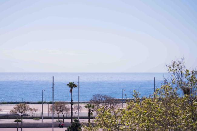 mediterranean