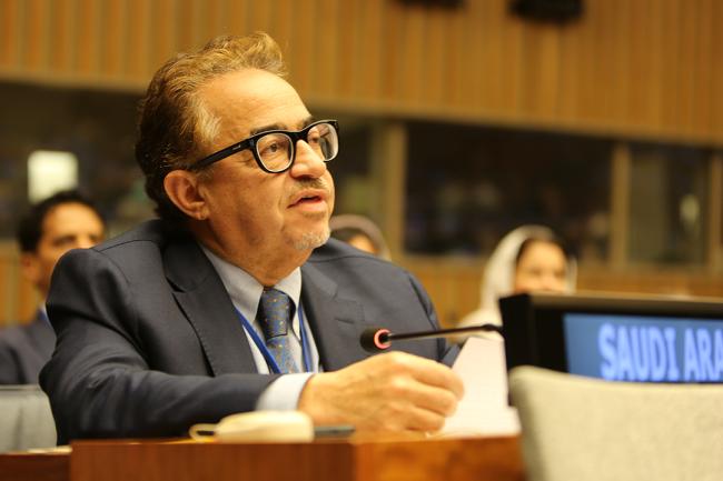 Khaled Alabdulkader, National Center for Vegetation Cover and Combating Desertification, Saudi Arabia - UNFF19 - 9May2024