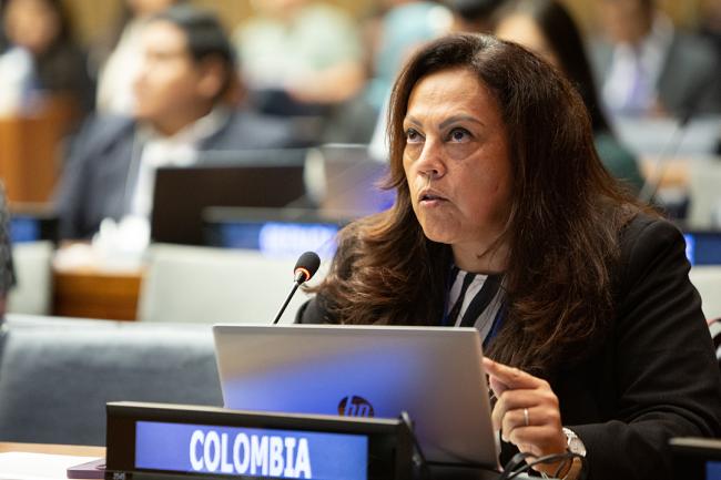 Adriana Rivera, Colombia - UNFF19 - 6May2024