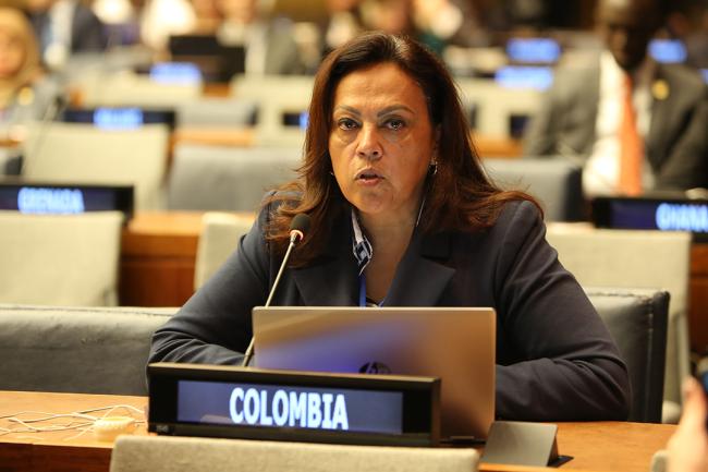 Adriana Rivera, Colombia - UNFF19 - 9May2024