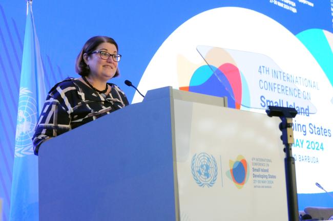 Amb. Carolyn Schwalger, New Zealand
