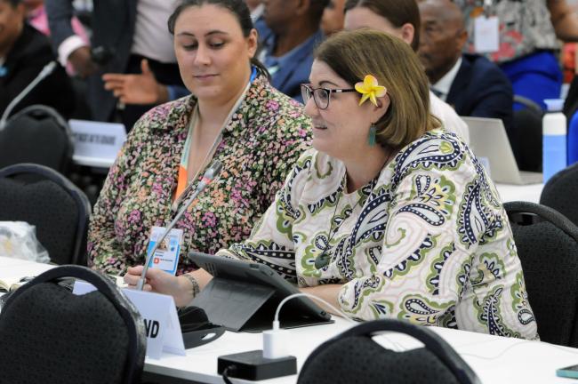 Carolyn Schwalger, Ambassador and Permanent Representative of Australia to the UN