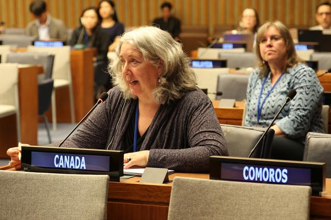 Chair of the Open-ended Intergovernmental AHEG Maureen Whelan (Canada) - UNFF19