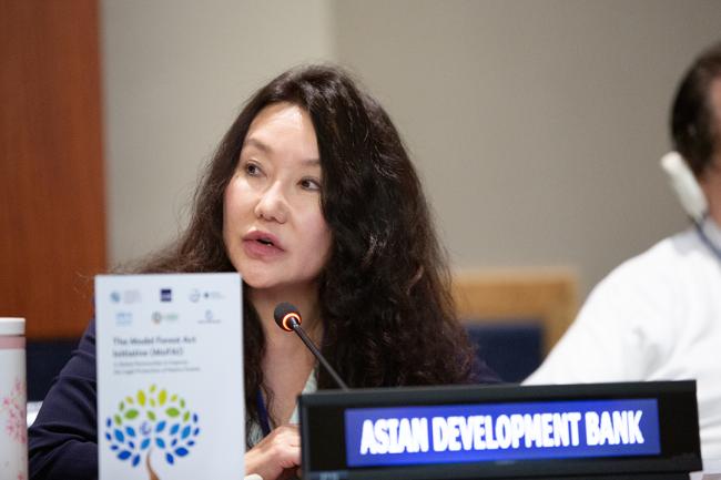 Christina Pak, Asian Development Bank - UNFF19 - 6May2024