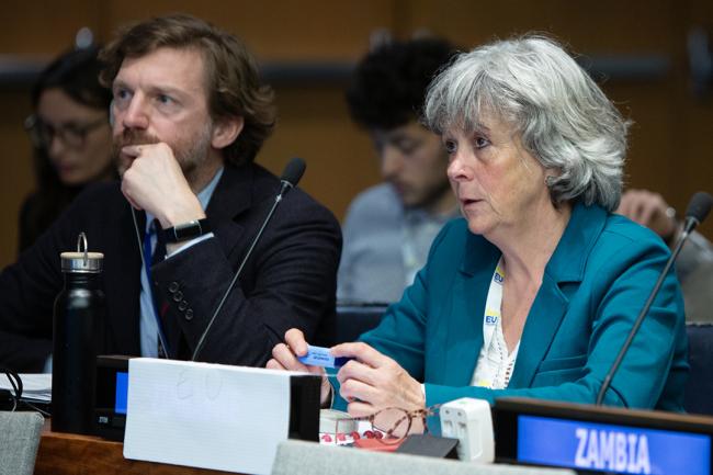 Christine Farcy, Belgium- UNFF19 - 10May2024