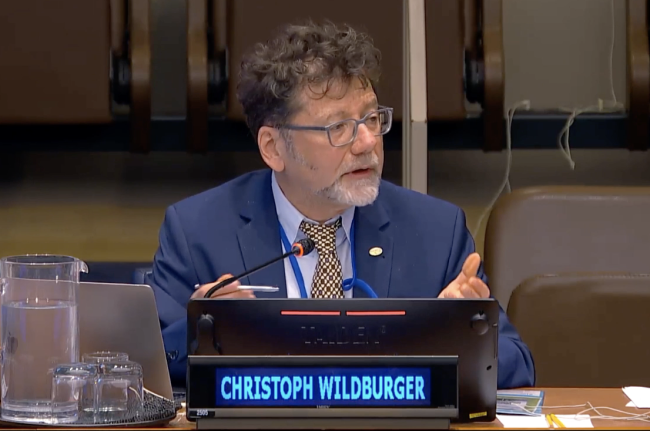 Christoph Wildburger, IUFRO Science-Policy Programme