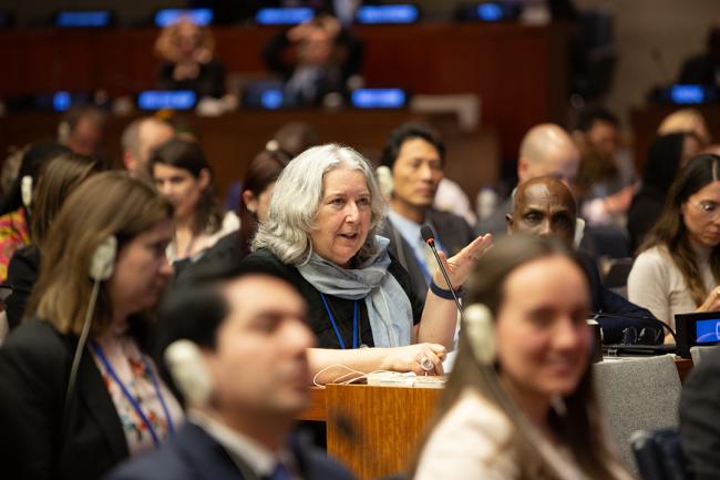 Co-facilitator of Informal Working Group 2 Maureen Whelan (Canada) - UNFF19 - 10May2024