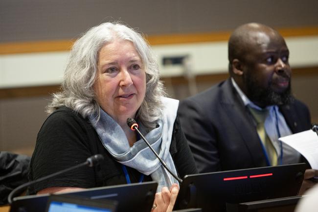Co-facilitator of Informal Working Group 2 Maureen Whelan (Canada)- UNFF19 - 10May2024