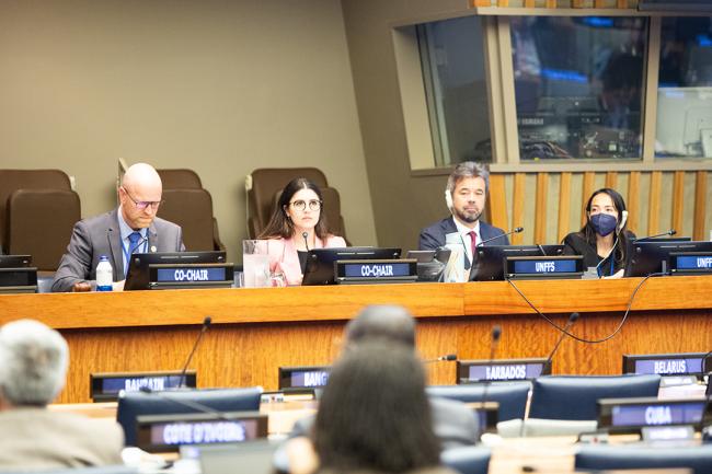 Conference Room 4 - UNFF19 - 6May2024