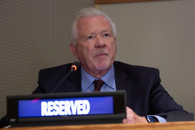 David Brand, Convening Chair, International Sustainable Forest Coalition - UNFF19 - 9May2024.