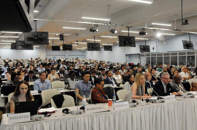 Delegates during the 4th Interactive Dialogue 