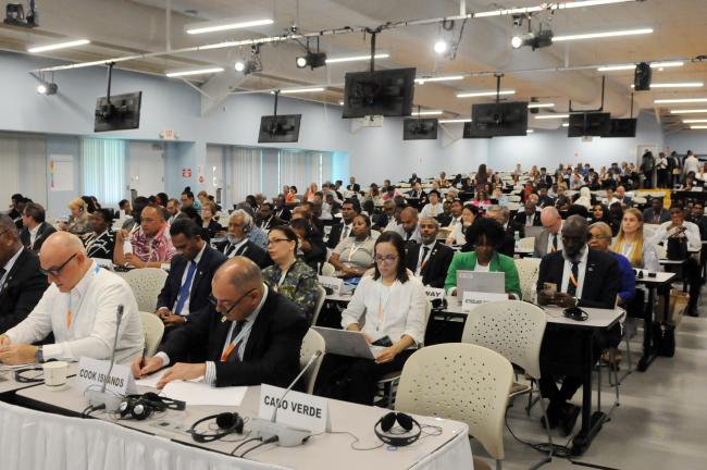 Delegates during the Interactive Dialogue