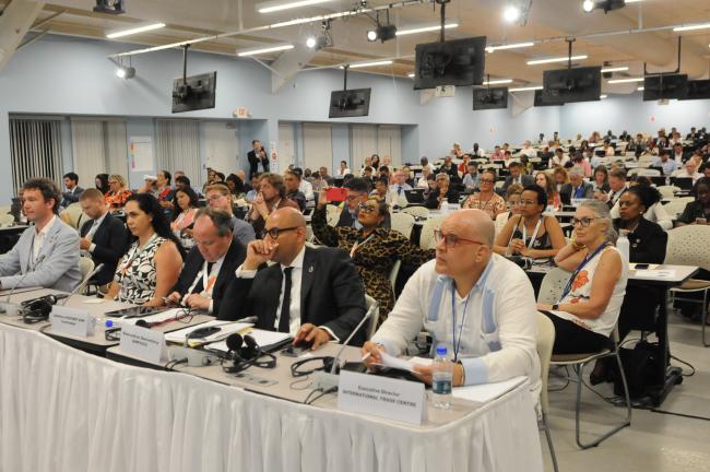 Delegates during the SIDS4 Private Sector Roundtable