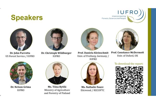 Speakers of the IUFRO Side Event at UNFF19