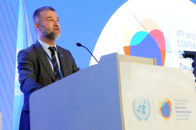 Gurbuz Gonul, International Renewable Energy Agency (IRENA)