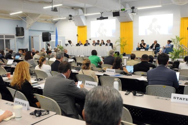 Delegates during the Interactive Dialogue