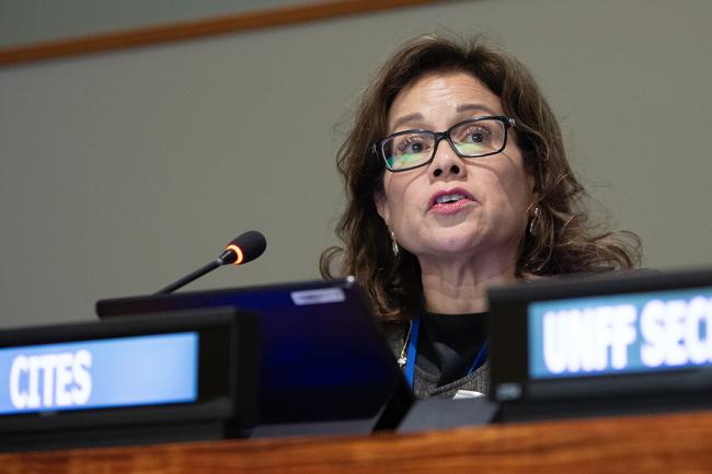 Ivonne Higuero, Secretary General, Convention on International Trade in Endangered Species of Wild Fauna and Flora, and CPF Vice-Chair - UNFF19 - 9May2024