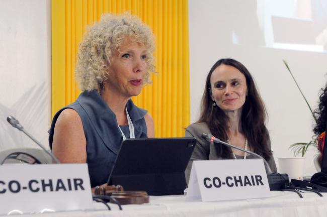 Jennifer Morgan, State Secretary and Special Envoy for International Climate Action, Germany