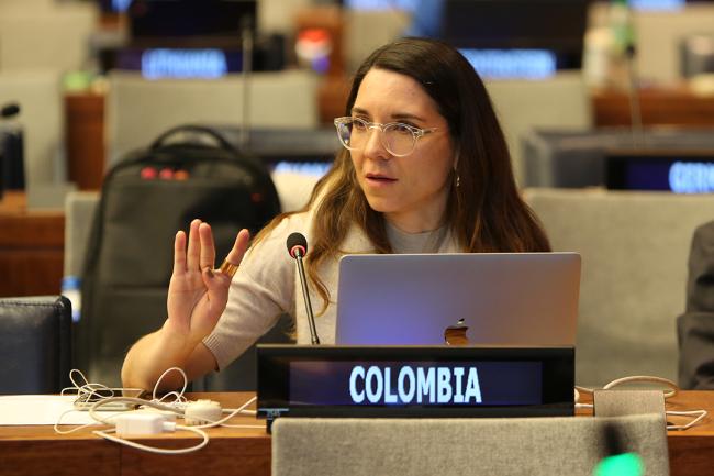 Manuela Ríos Serna, Colombia - UNFF19 - 10May2024