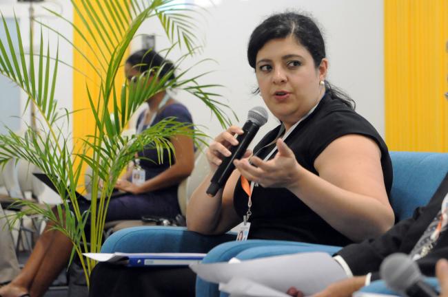 María del Pilar Garrido Gonzalo, Director for Development Co-operation, Organization for Economic Co-operation and Development (OECD) 