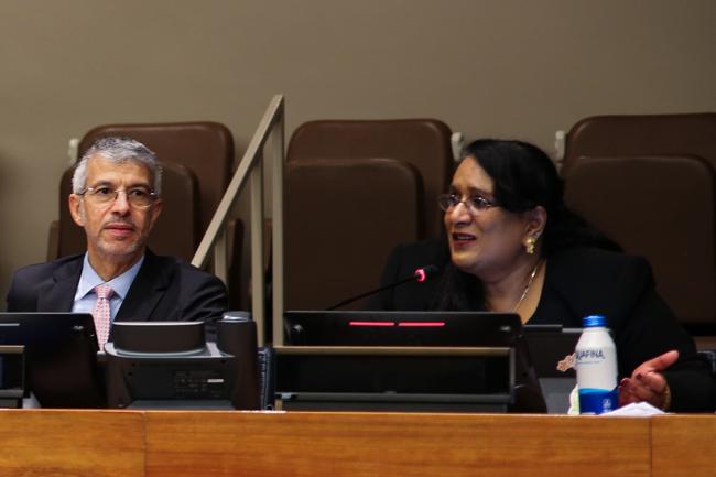Nandhini Krishna, Deputy Chief of Office, UN Convention to Combat Desertification - UNFF19 - 8May2024.