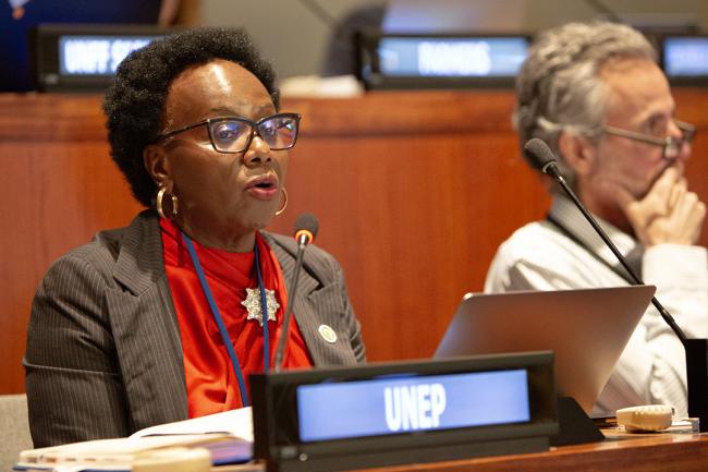 Patricia Kameri-Mbote, UNEP - UNFF19 - 6May2024