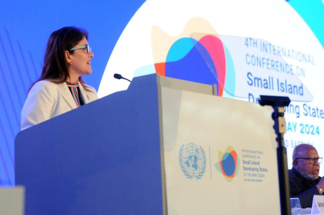 Paula Narváez, ECOSOC President