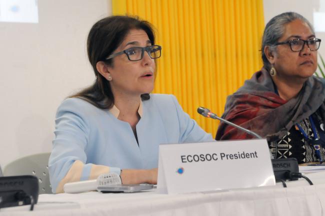 Paula Narváez, President of the UN Economic and Social Council (ECOSOC)