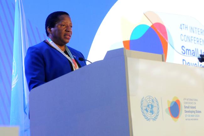 Pennelope Beckles-Robinson, Minister of Planning and Development, Trinidad and Tobago