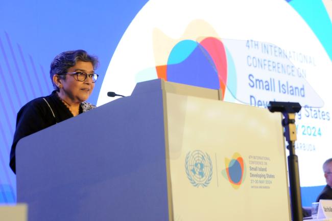 Rabab Fatima, Special Advisor for the 4th SIDS Conference