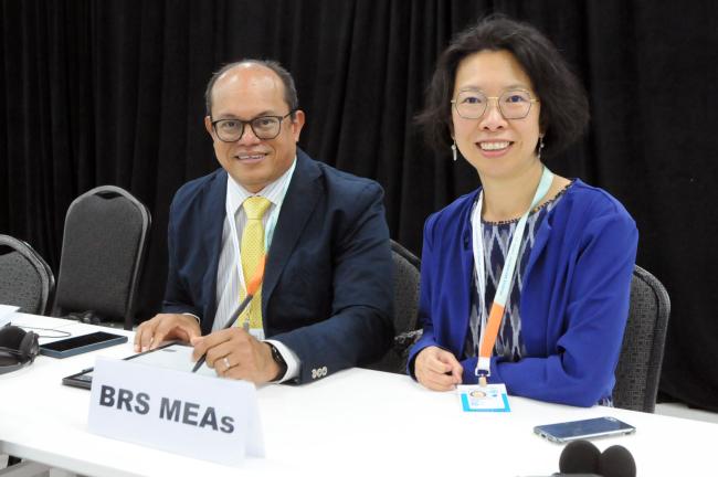 Rolph Payet and Melisa Lim, Basel, Rotterdam and Stockholm (BRS) Conventions